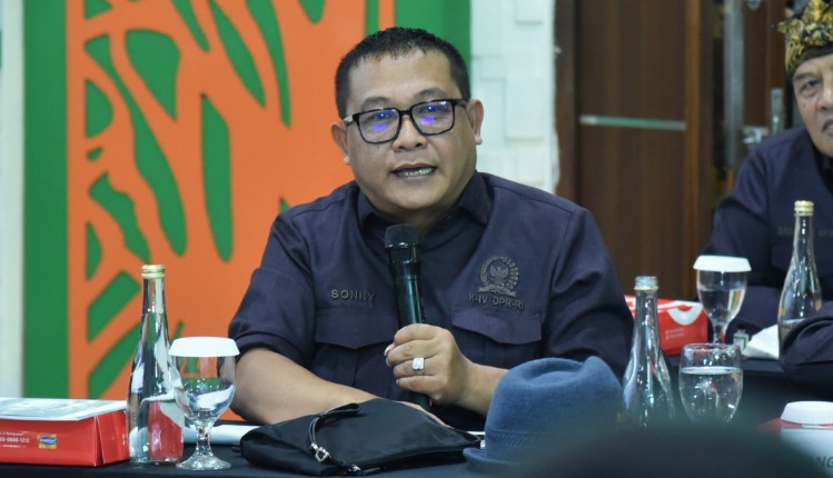 Revisi UU Kehutanan Harus Berikan Manfaat Bagi Masyarakat dan Lingkungan