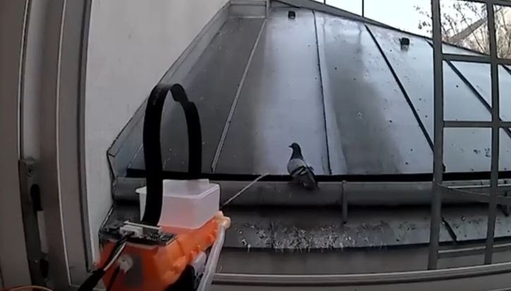 Kesal Balkon Dipenuhi Kotoran Burung, Pria Ini Ciptakan 'Penembak Jitu AI' yang Otomatis Menyemprot Merpati