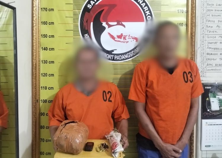Polisi Gagalkan Peredaran Ganja, Dua Pria Ditangkap di Padangsidimpuan