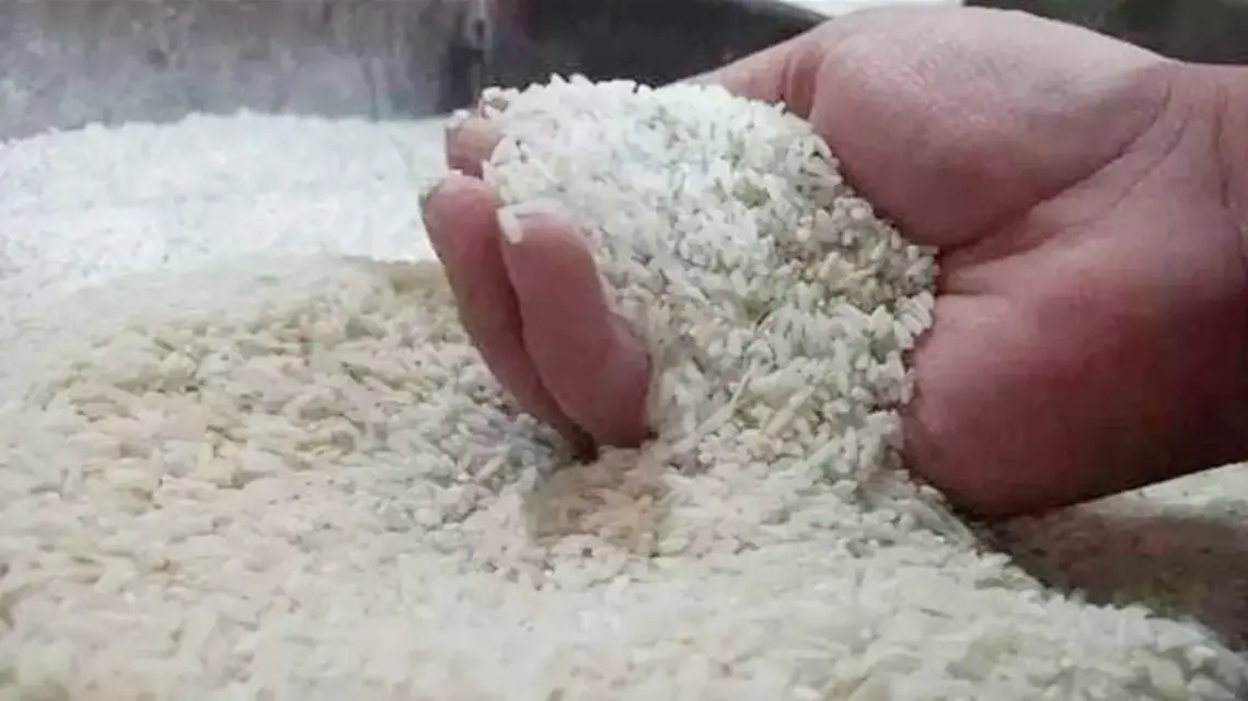 Stok Beras Melimpah, Pemerintah Diminta Perhatikan Masyarakat Rentan