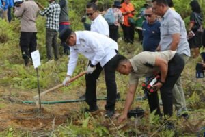 bupati taput canangkan sejuta pohon durian, langkah besar pemulihan pascabencana