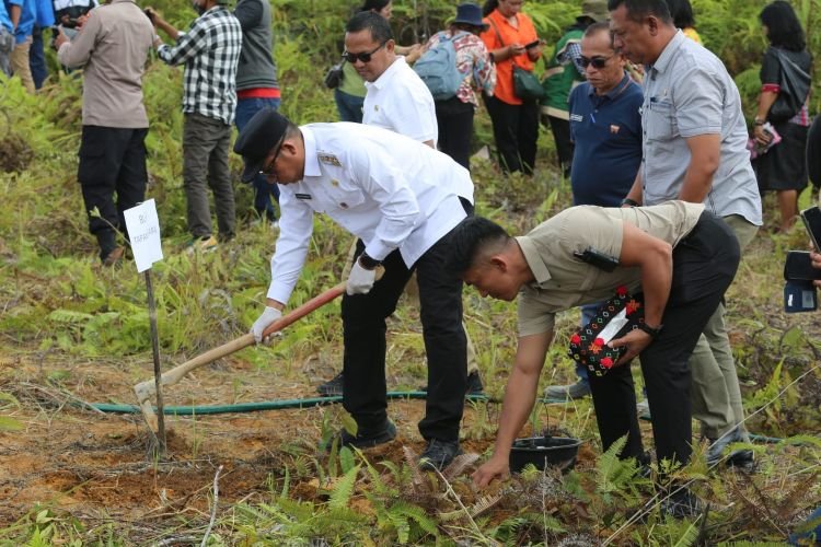 bupati taput canangkan sejuta pohon durian, langkah besar pemulihan pascabencana