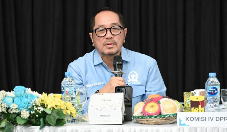 Tata Kelola Pangan Perlu Dibongkar Ulang, Harga Beras Jangan Jomplang