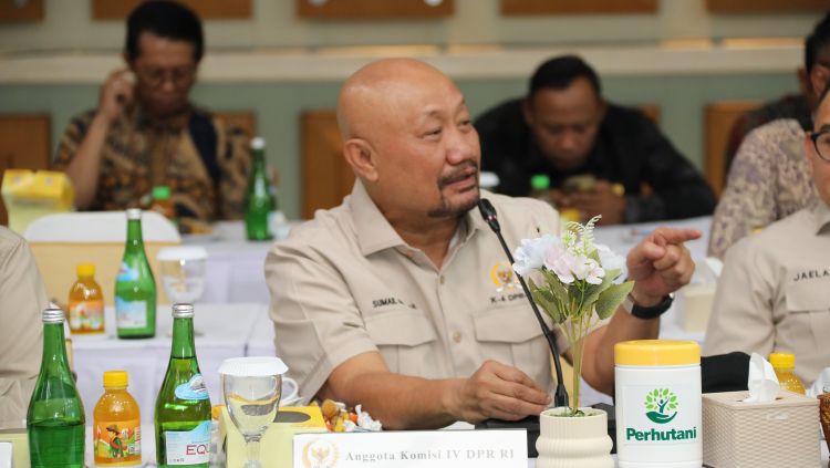 Hutan Harus Lestari, Libatkan Masyarakat dalam Pengelolaan