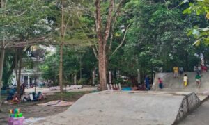 libur tahun baru imlek 2026, taman bunga jadi destinasi favorit warga