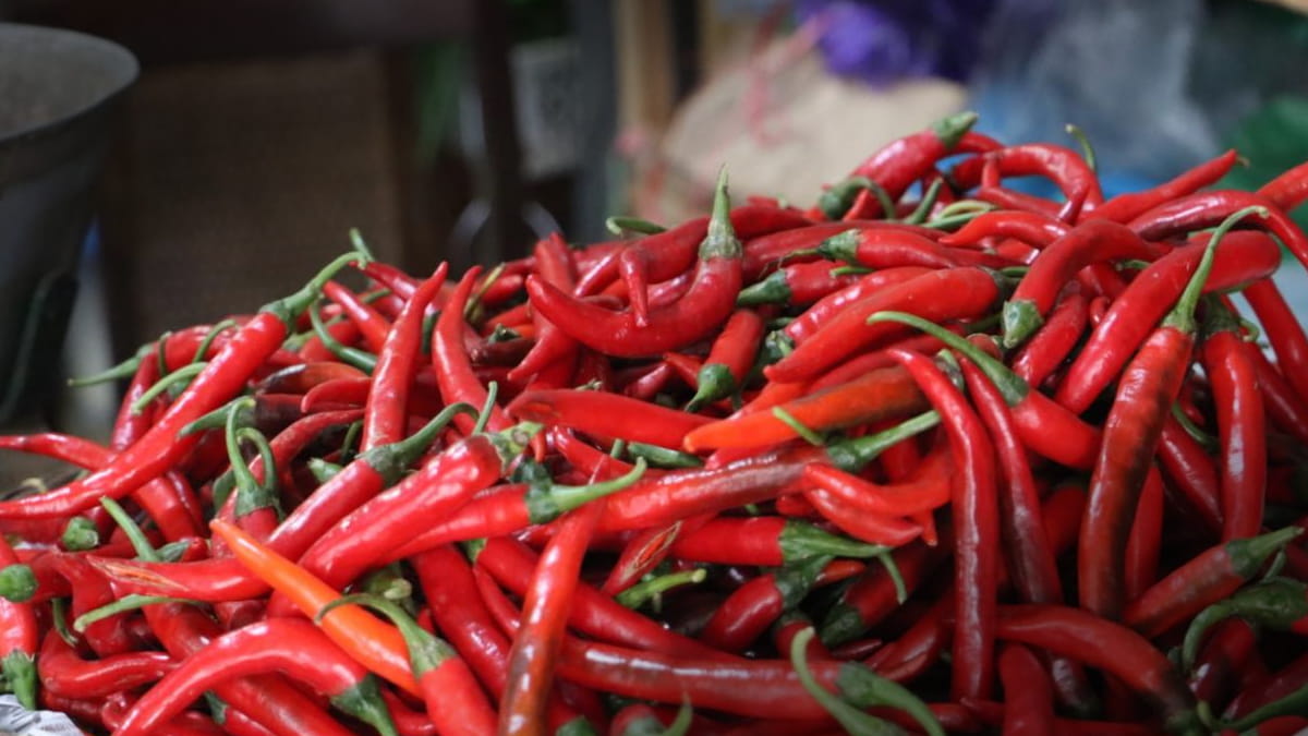 Harga Cabai di Ibukota Masih Bikin Ngeri, Meski Mulai Turun