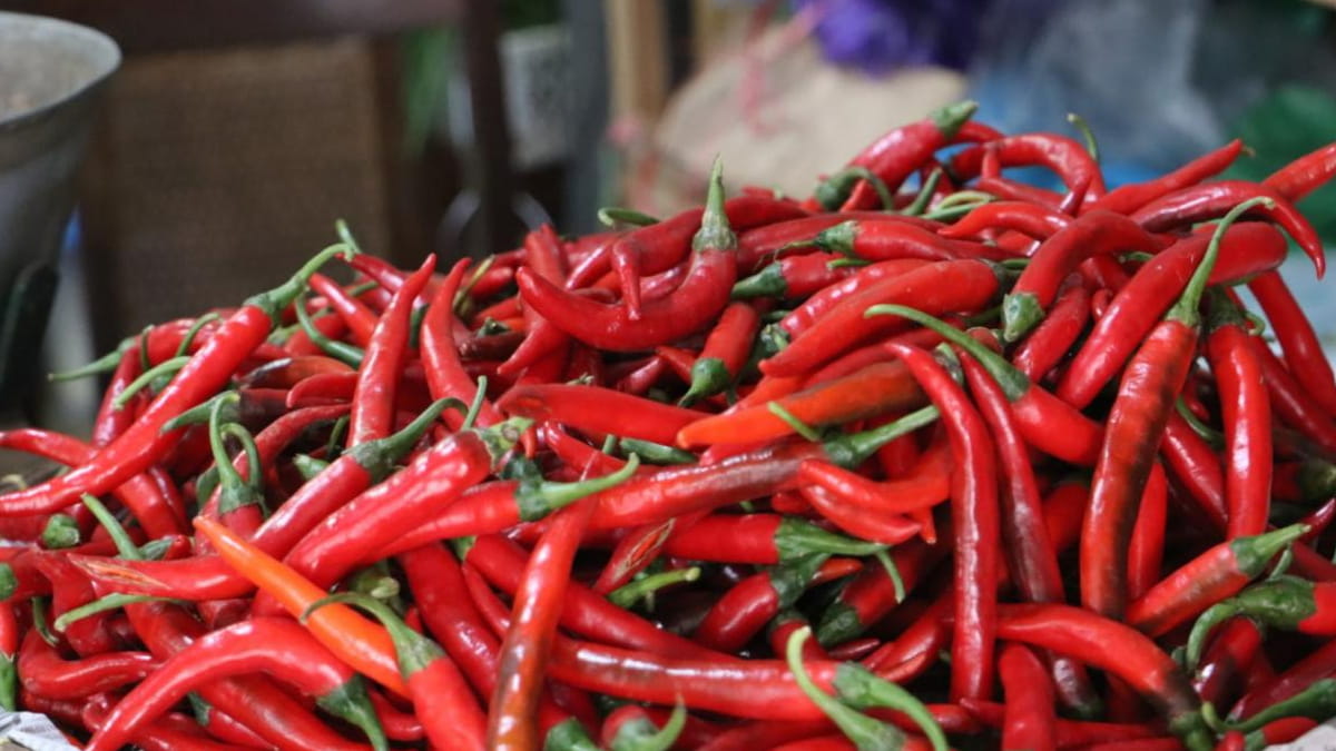 Harga Bahan Pokok Mulai “Panas” Jelang Ramadhan, Cabai Meledak Dua Digit