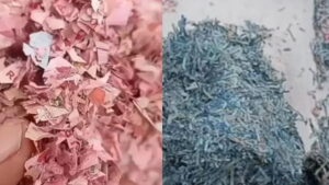 viral! cacahan uang rupiah ditemukan di tps liar bekasi, dlh telusuri asal-usulnya