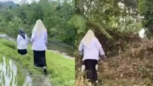 viral perjuangan guru di padang pariaman, menembus sawah dan bukit demi jemput siswa