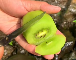 kiwi bisa jadi camilan penunjang tidur nyenyak dan reduksi stres