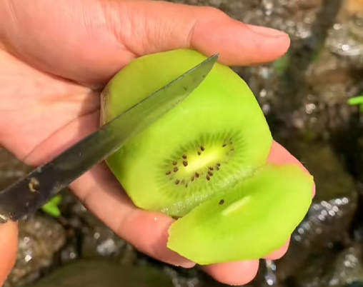 Kiwi Bisa Jadi Camilan Penunjang Tidur Nyenyak dan Reduksi Stres