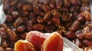 waspada kurma tak layak konsumsi? simak 5 tanda ini sebelum membeli