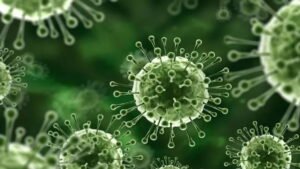 virus nipah kembali mewabah, indonesia perketat pengawasan di pintu masuk negara