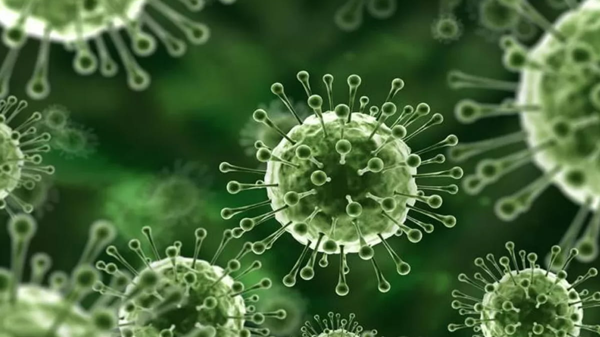 Virus Nipah Kembali Mewabah, Indonesia Perketat Pengawasan di Pintu Masuk Negara
