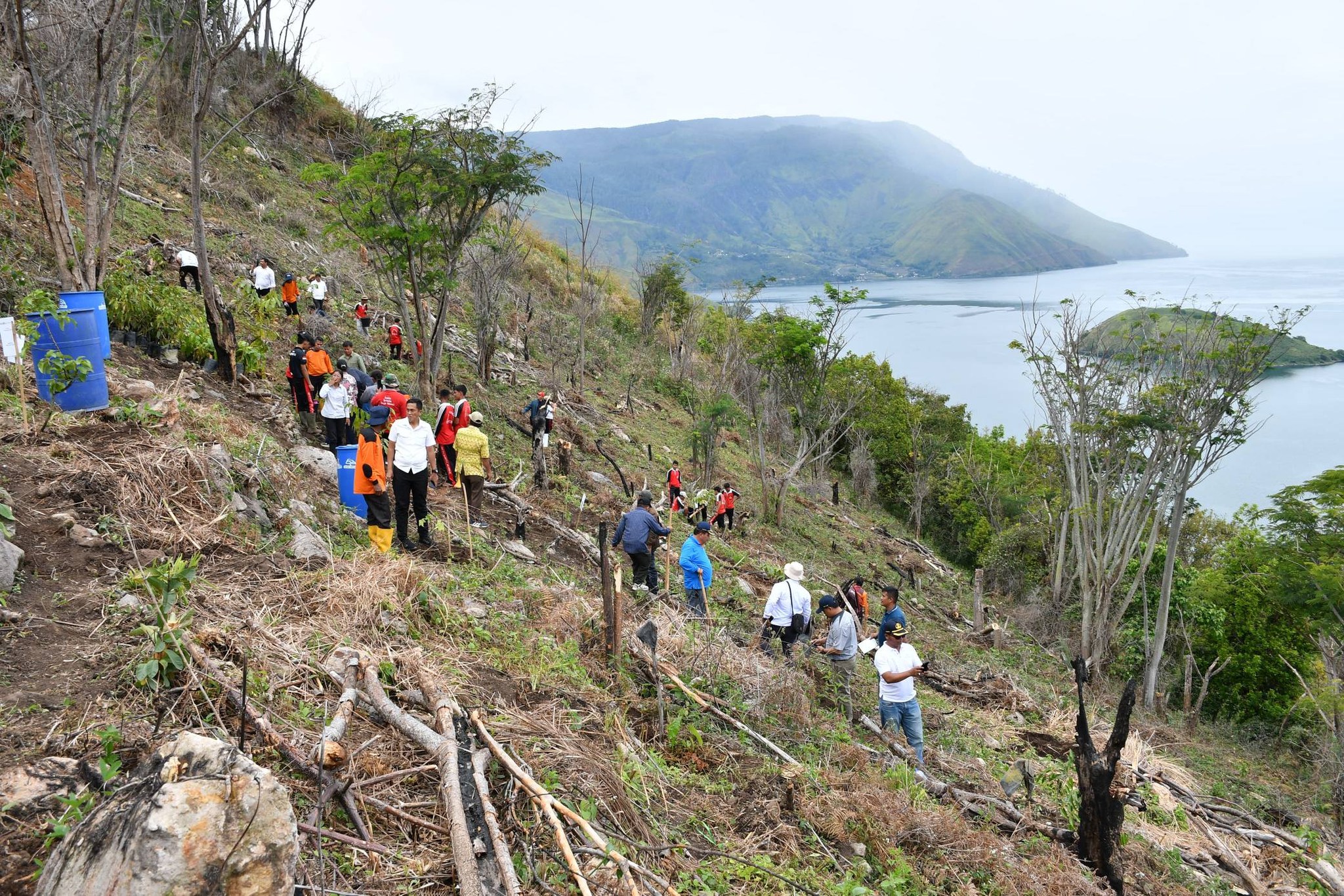 Pemkab dan Mitra Tanam Ribuan Pohon di Kawasan Tangkapan Air Danau Toba