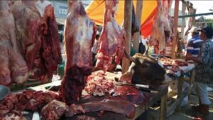 pemerintah seret bandar sapi ke meja koordinasi