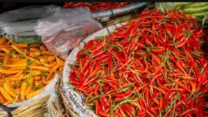 pemerintah datangkan 10 ton cabai rawit untuk jaga harga selama ramadan
