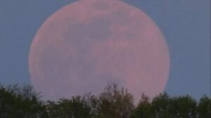 fenomena astronomi april 2026: pink moon dan hujan meteor lyrids