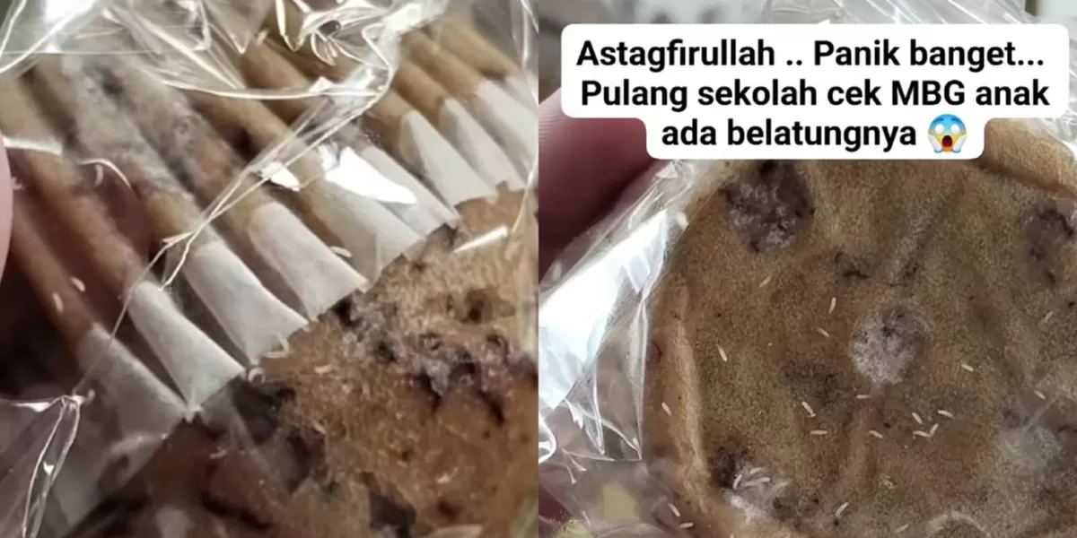 Viral Roti Program MBG Berisi Belatung di Jepara, Orang Tua Siswa PAUD Panik Saat Cek Bekal Anak