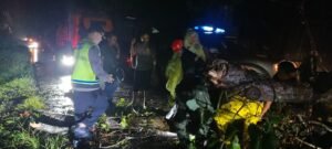 pohon tumbang tutup jalur siantar–tanah jawa
