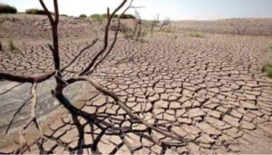 fenomena el nino 2026 berpotensi picu kemarau ekstrem