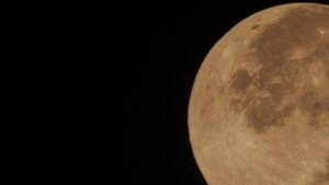 pink moon april 2026: jadwal, fakta, dan cara melihatnya