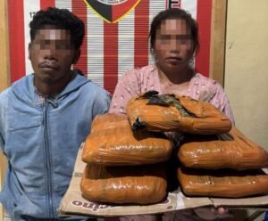 polsek barus gagalkan peredaran 5 kg ganja asal madina, sepasang kurir ditangkap