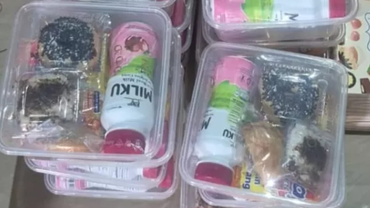 Menu MBG untuk Ibu Hamil Viral: Donat hingga Mi Instan Picu Perdebatan Soal Gizi