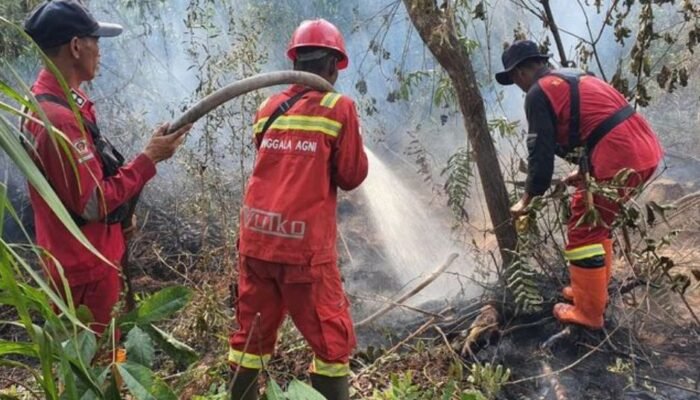 bnpb: banjir dan angin kencang dominasi bencana, karhutla riau meluas