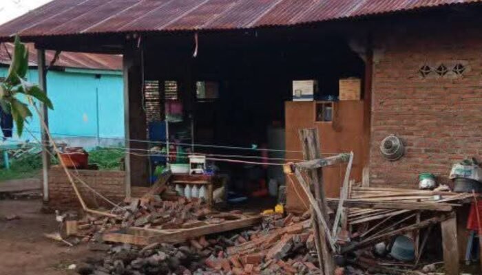 gempa m4,7 guncang flores timur, 15 warga luka-luka