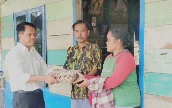 banjir dan longsor terjang taput, pemkab gerak cepat salurkan bantuan ke warga terdampak