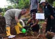 wakil bupati tapteng dan kepala bbksda sumut gelar aksi tanam pohon di sipange