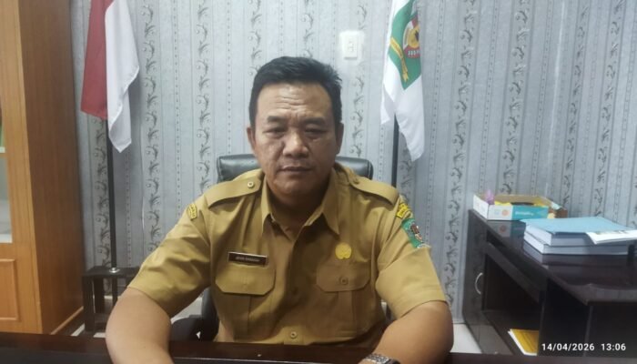 gagal panen akibat tikus, dinas pertanian simalungun siapkan bibit gratis untuk petani silau malela