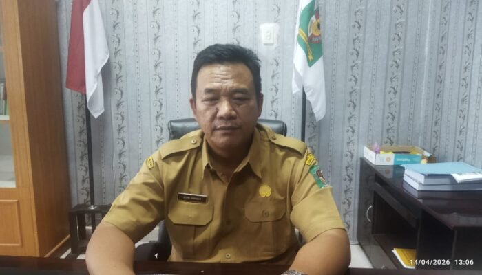 cegah gagal panen, kadis pertanian simalungun ajak petani berburu tikus sebelum masa tanam