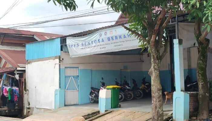 sppg di kader manik sibolga disebut bersihkan bahan mbg di tempat pemotongan babi