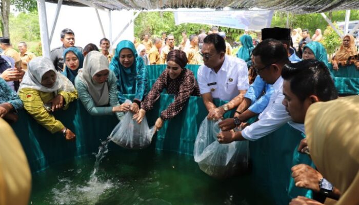 bupati tapsel jadikan kolam lele pkk huraba sebagai penyangga pangan