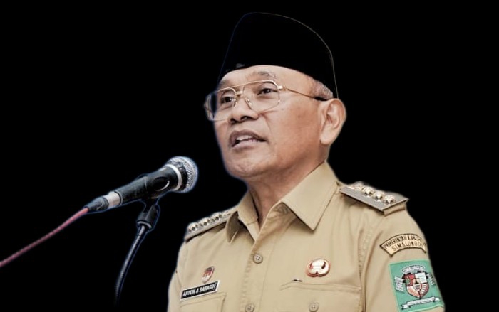 Pemkab Simalungun Dorong Digitalisasi untuk Tingkatkan PAD