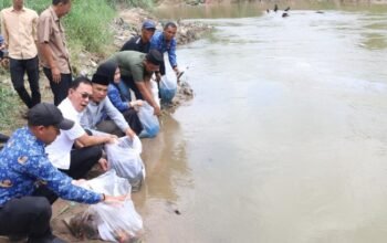 asa bupati, tapsel swasembada ikan