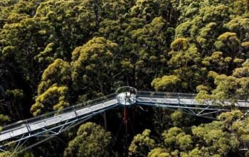 liburan 2026 makin seru! south west australia tawarkan alam, kuliner, dan satwa liar