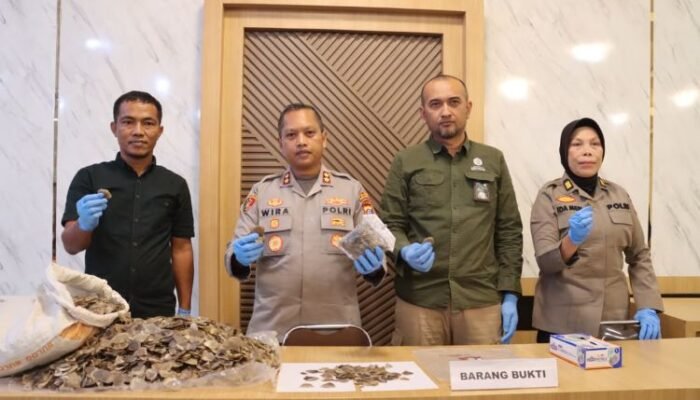 jual sisik trenggiling, seorang petani ditangkap polisi di padangsidimpuan