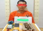 pengedar narkoba “kongo” ditangkap, polisi amankan ganja dan sabu di tapteng