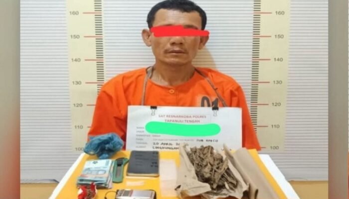 pengedar narkoba “kongo” ditangkap, polisi amankan ganja dan sabu di tapteng