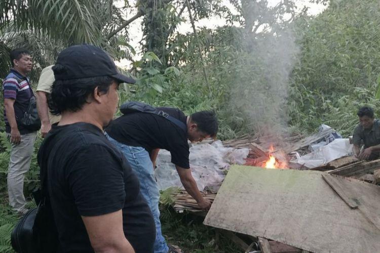 Polisi Gerebek Gubuk Narkoba di Simalungun, Langsung Dibakar di Tempat