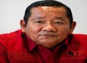 pdip larang kader bisnis mbg, rapidin simbolon: langgar, siap-siap dipecat!