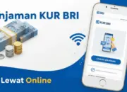 kur bri 2026 resmi dibuka: bunga mulai 3%, plafon hingga rp500 juta, ini syarat dan jenisnya