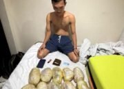 kelapa gading
