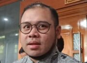 ibrahim arief