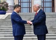 xi jinping
