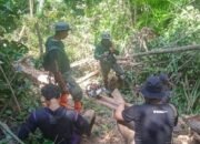 dua pembalak liar di twa mangolo jadi tersangka, ancaman 15 tahun penjara