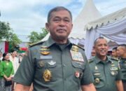 Maruli simanjuntak ungkap fakta di balik pembubaran film “pesta babi” maruli